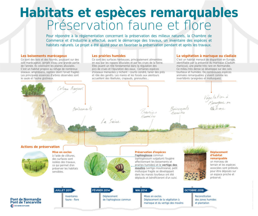 Tancarville Panneaux Pédagogiques Habitats Et Espèces Remarquables